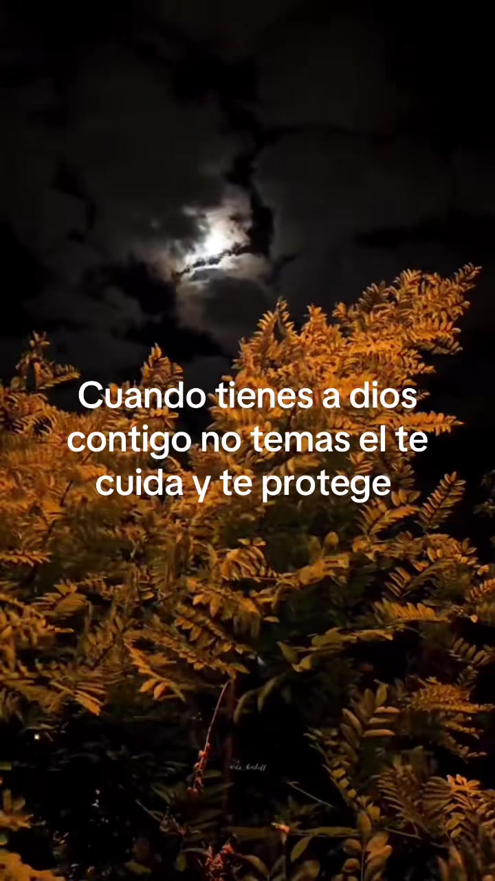 @antonia palomino