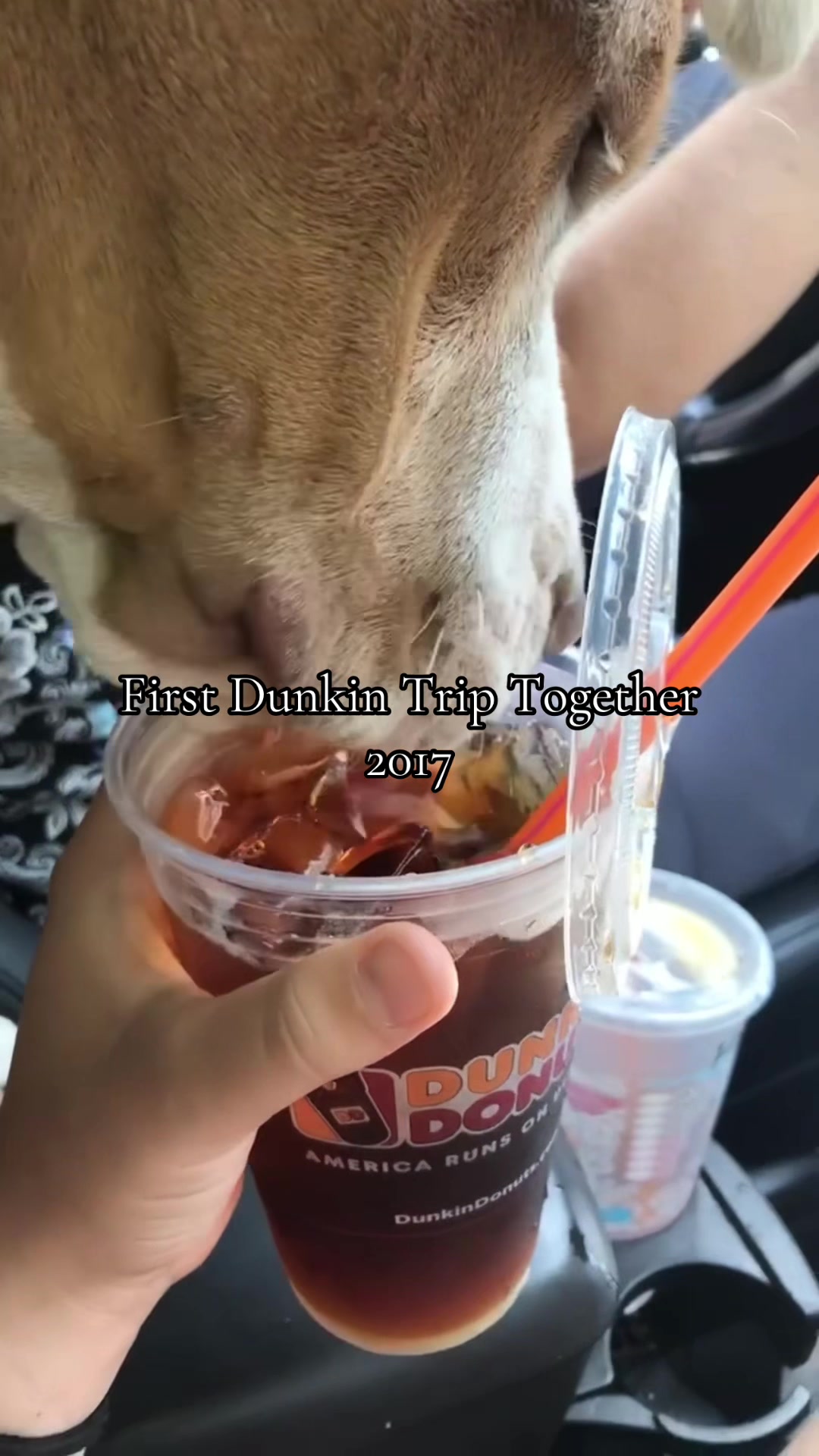 @𝓢🐾