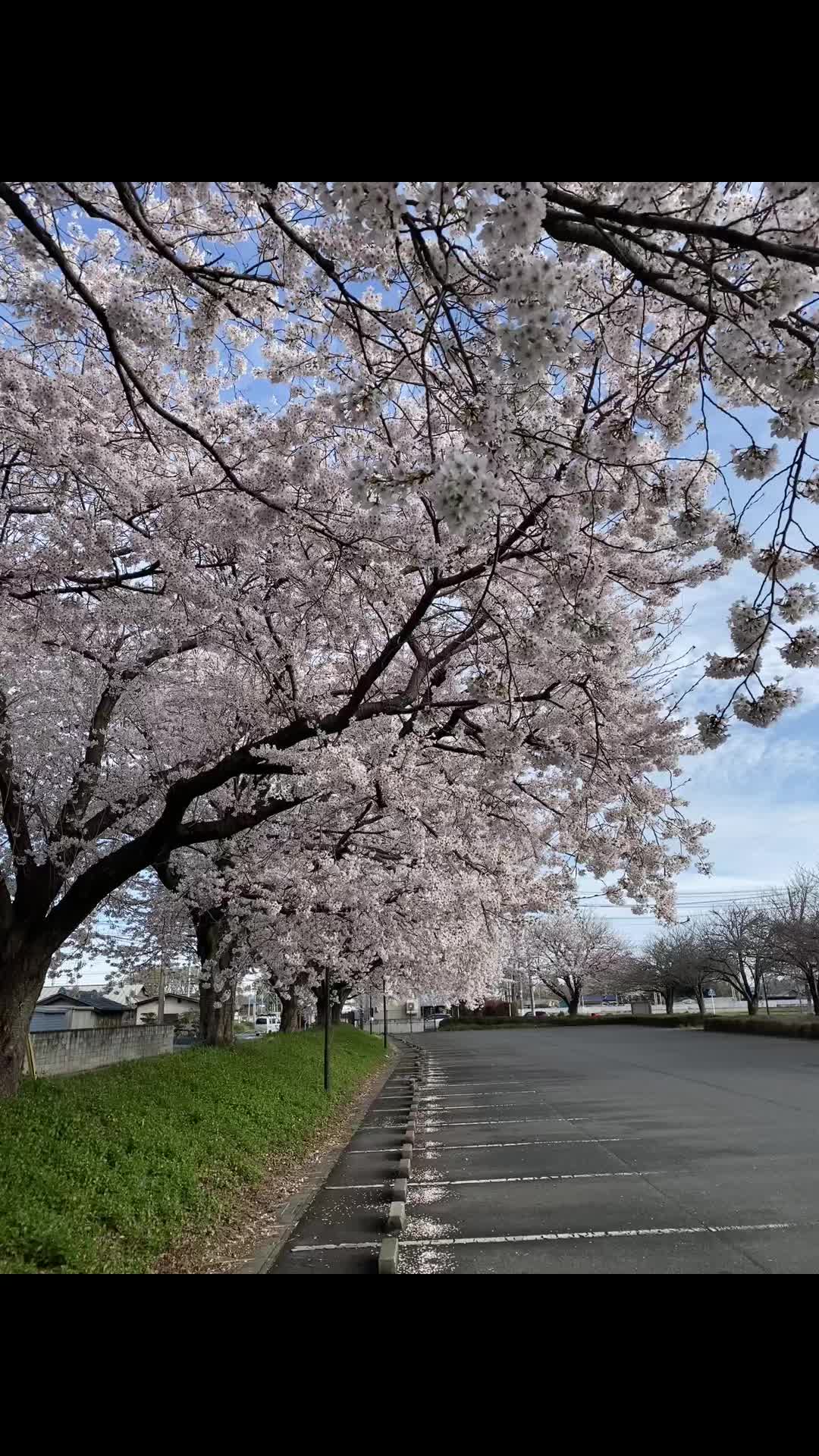 @Fahreza.v