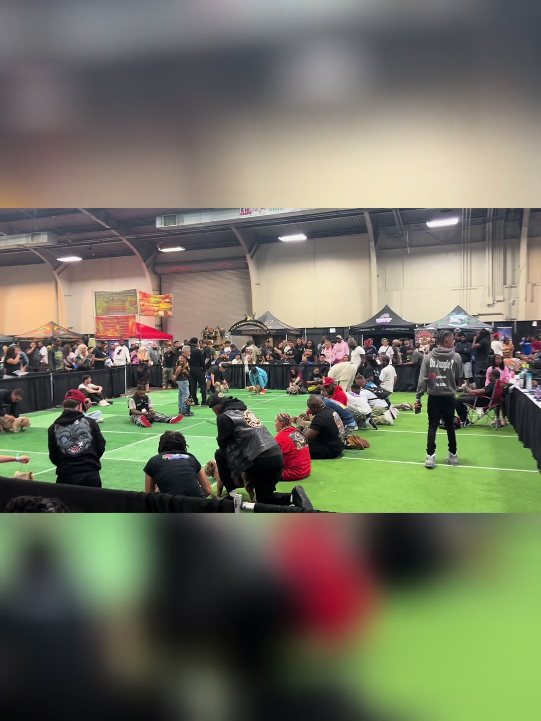 @Scooterzbullyz LLC