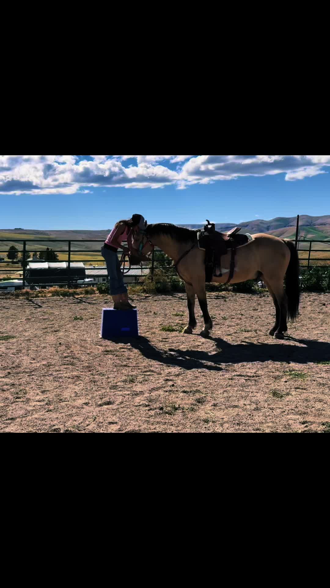 @Cowgirl Tuff Colt Training ❤️