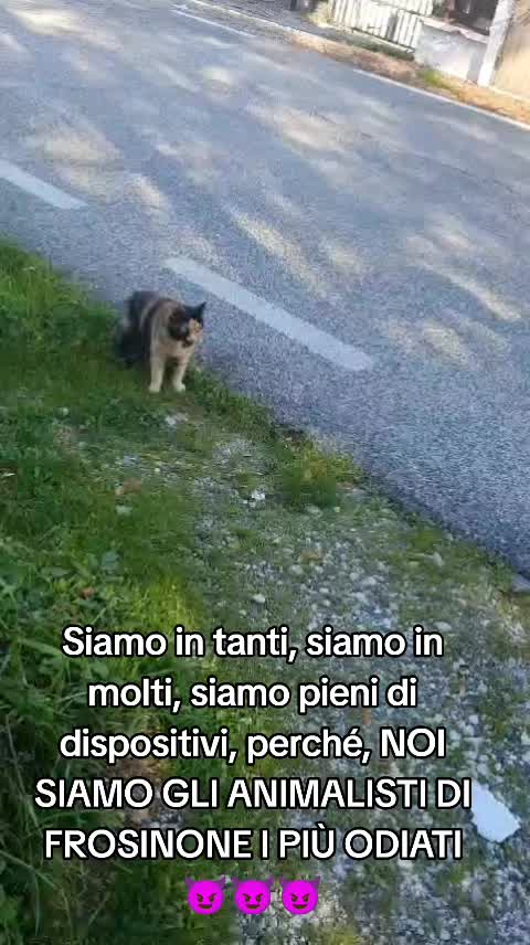 @ELETTRA L'ANIMALISTA