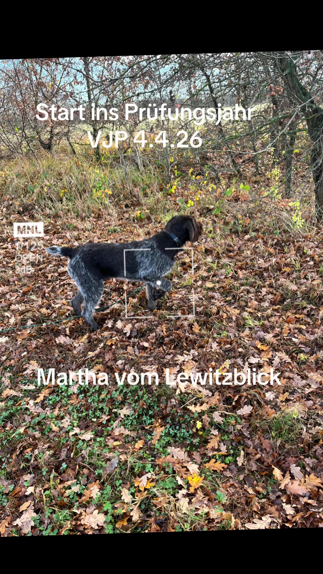 @Fred M&uuml;ller
