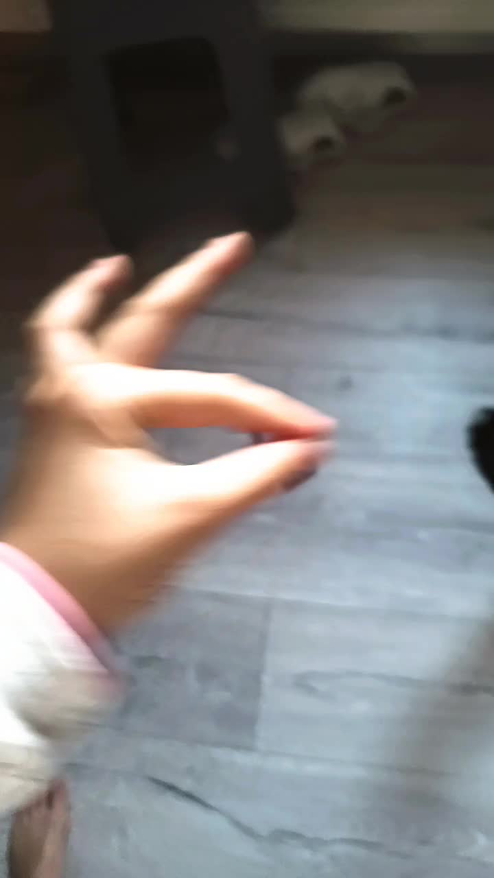@🌺🦩