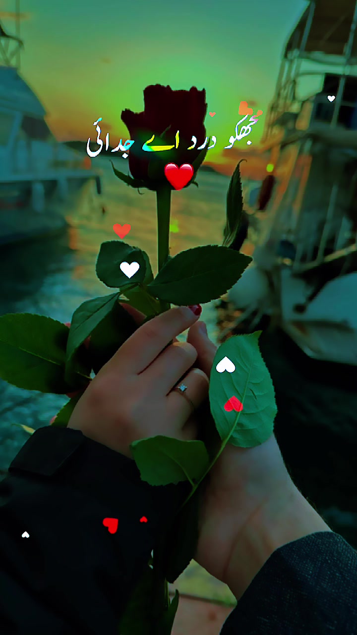 @💞💞Sara💞💞