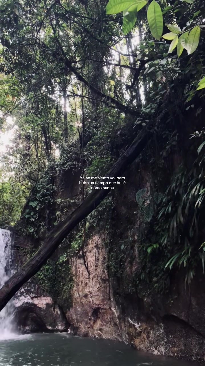 @Snayderfrank_