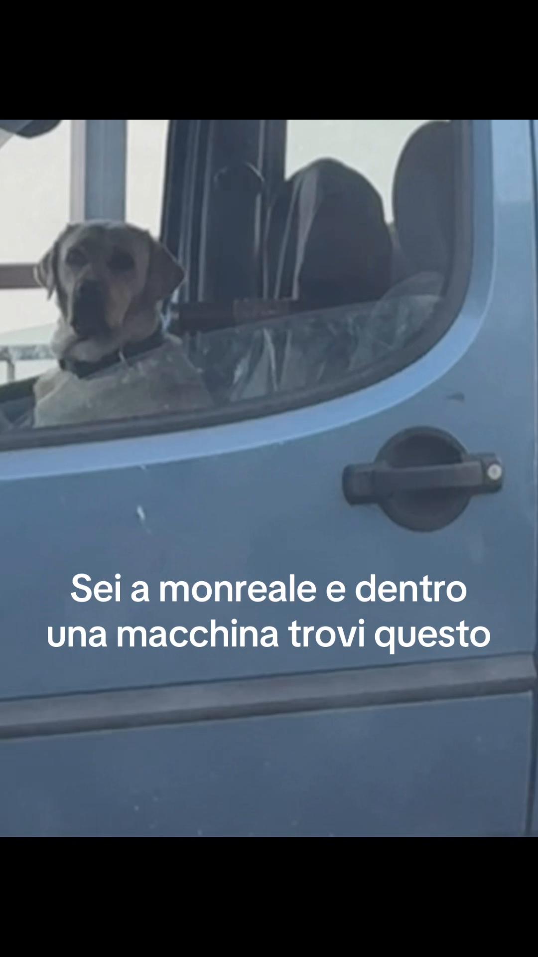 @Aloisio Valerio