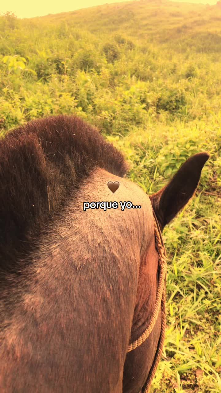 @🤍~Mãrtínëz~