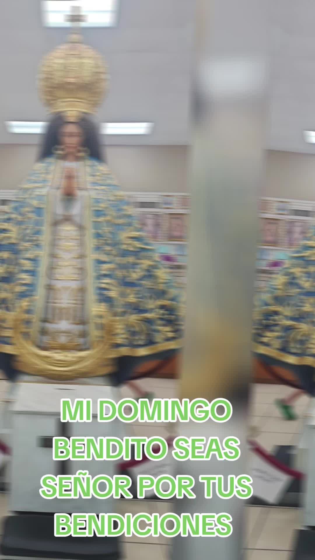 @Gaviota777