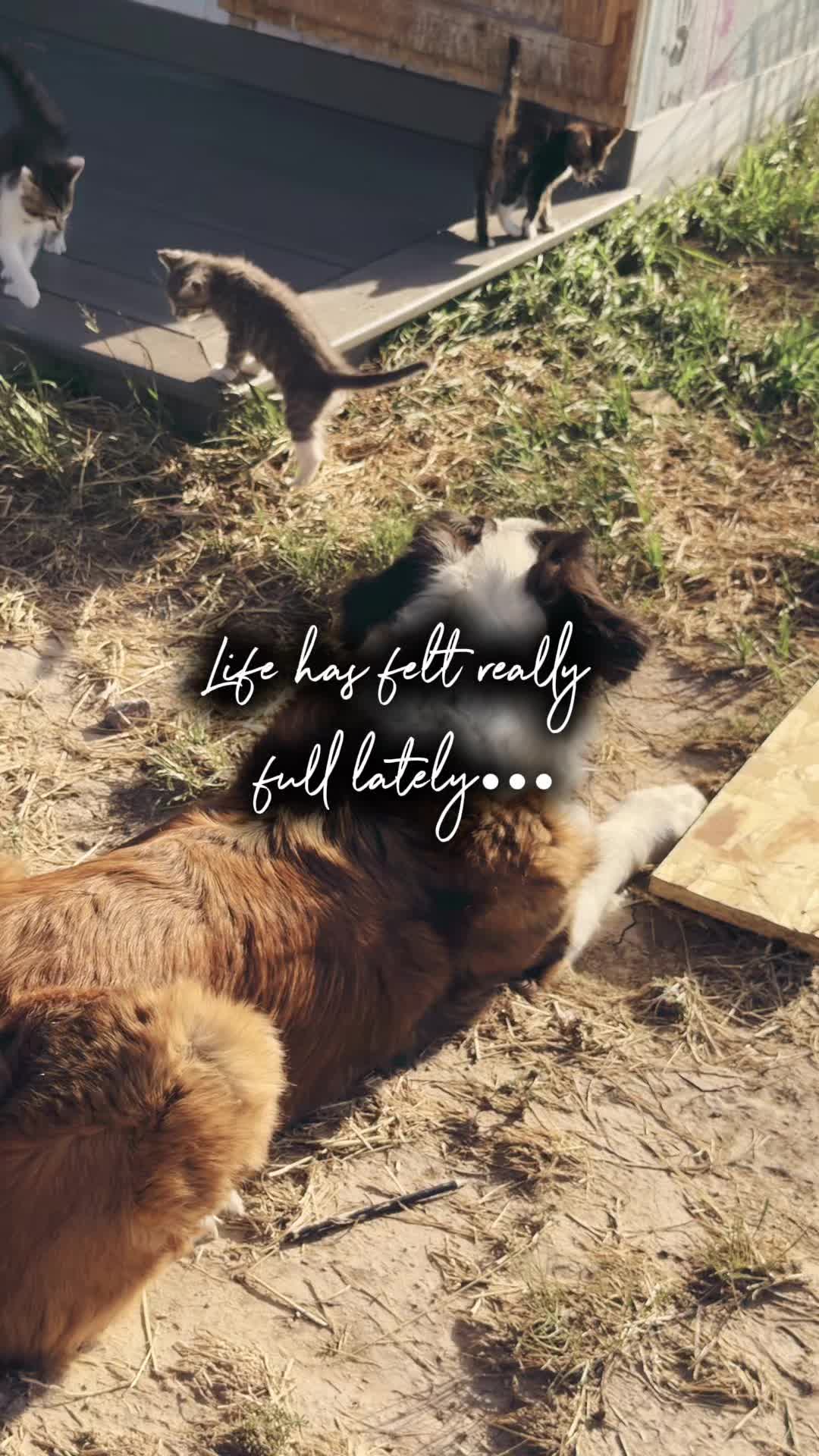 @🌻&dagger;HealthyHearted𝓂♡𝓂𝓂𝒶&dagger;🌻