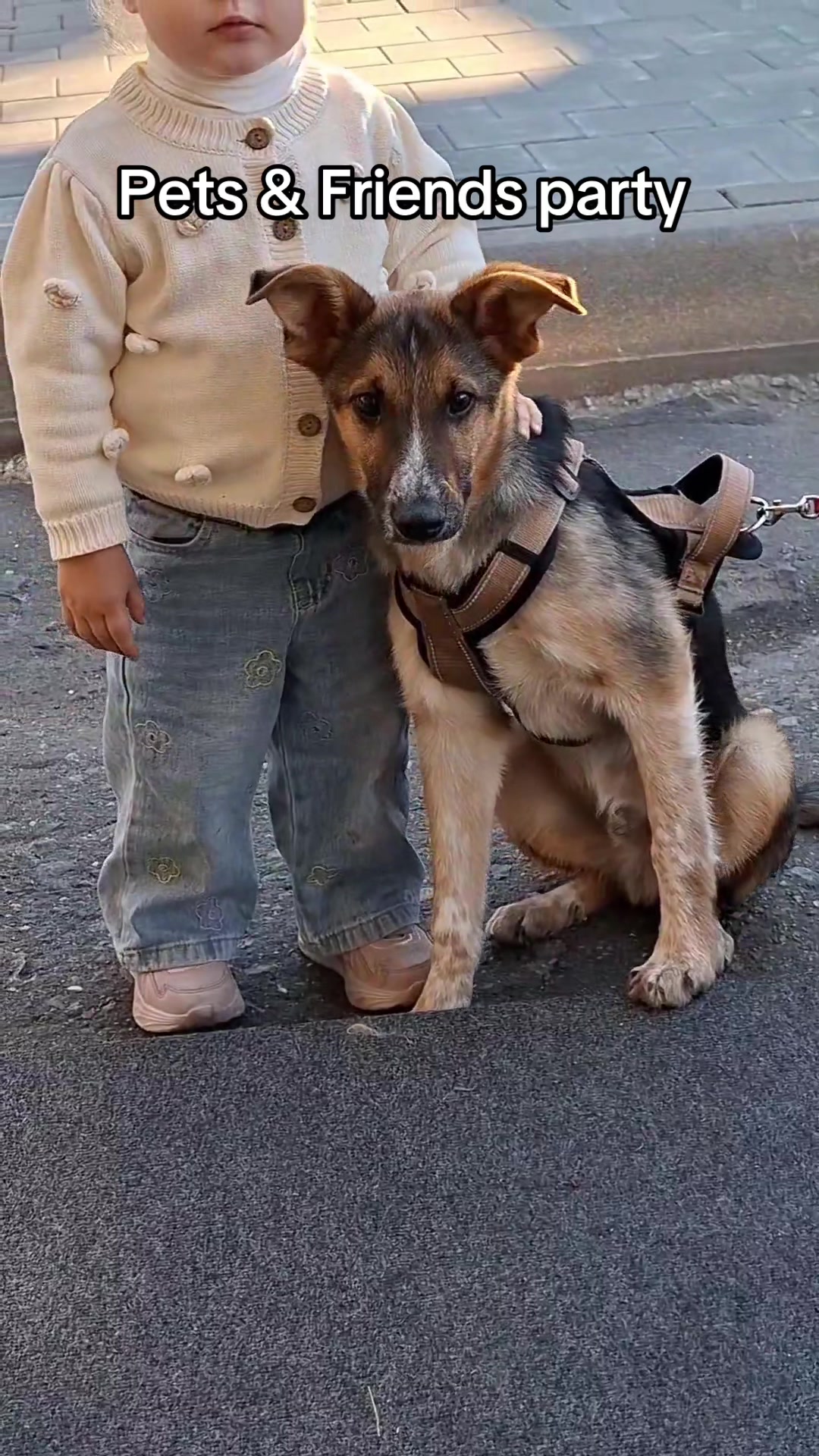 @Директор «Песокот»250🐈🐶