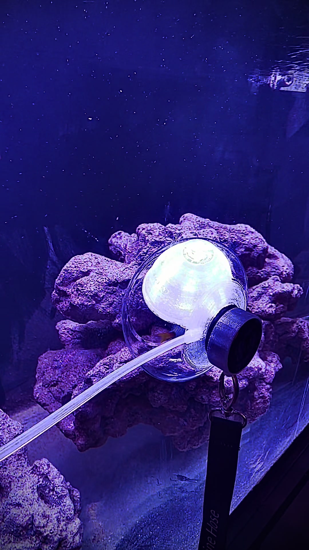 @Tankmatez.com USA