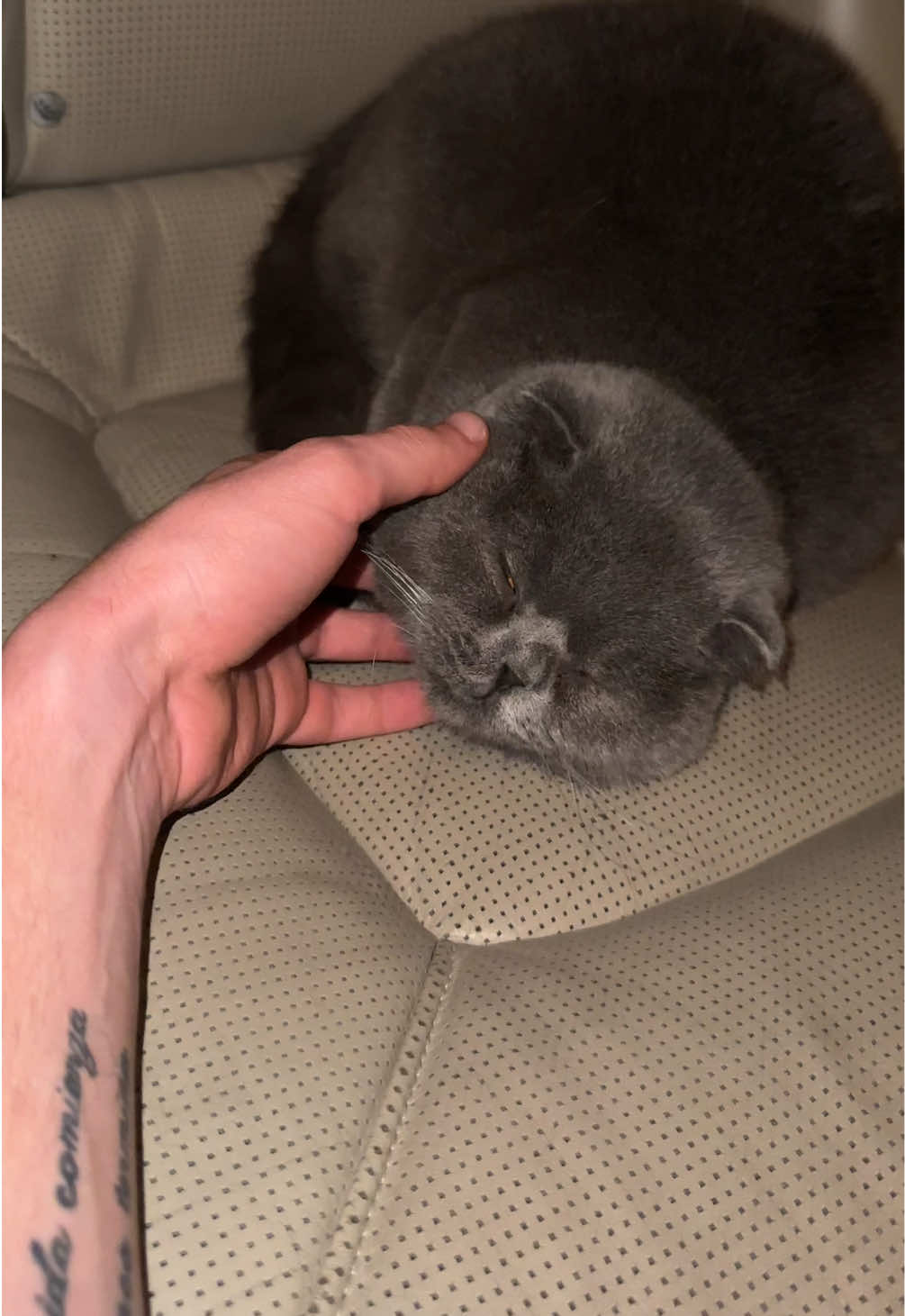 @BOBI🐈⬛