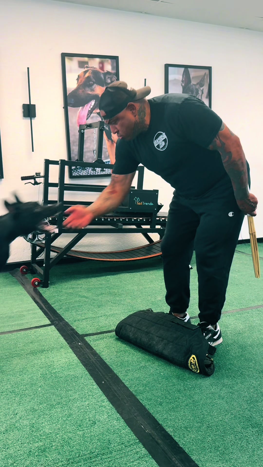 @Tactical K9s Dog Training