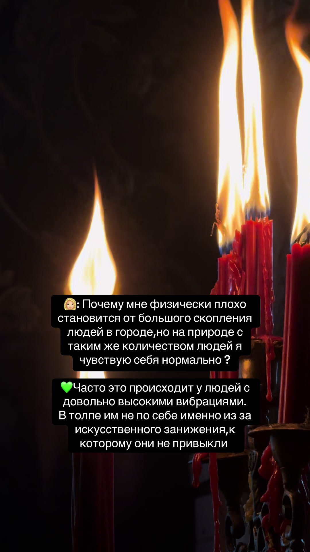 @🐉👁️ Гримуар Роуз 🩻🔮