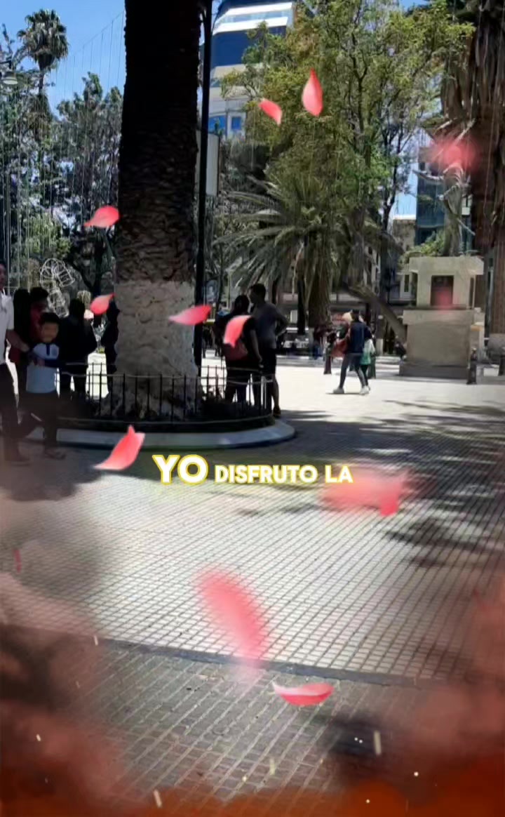 @Magui777