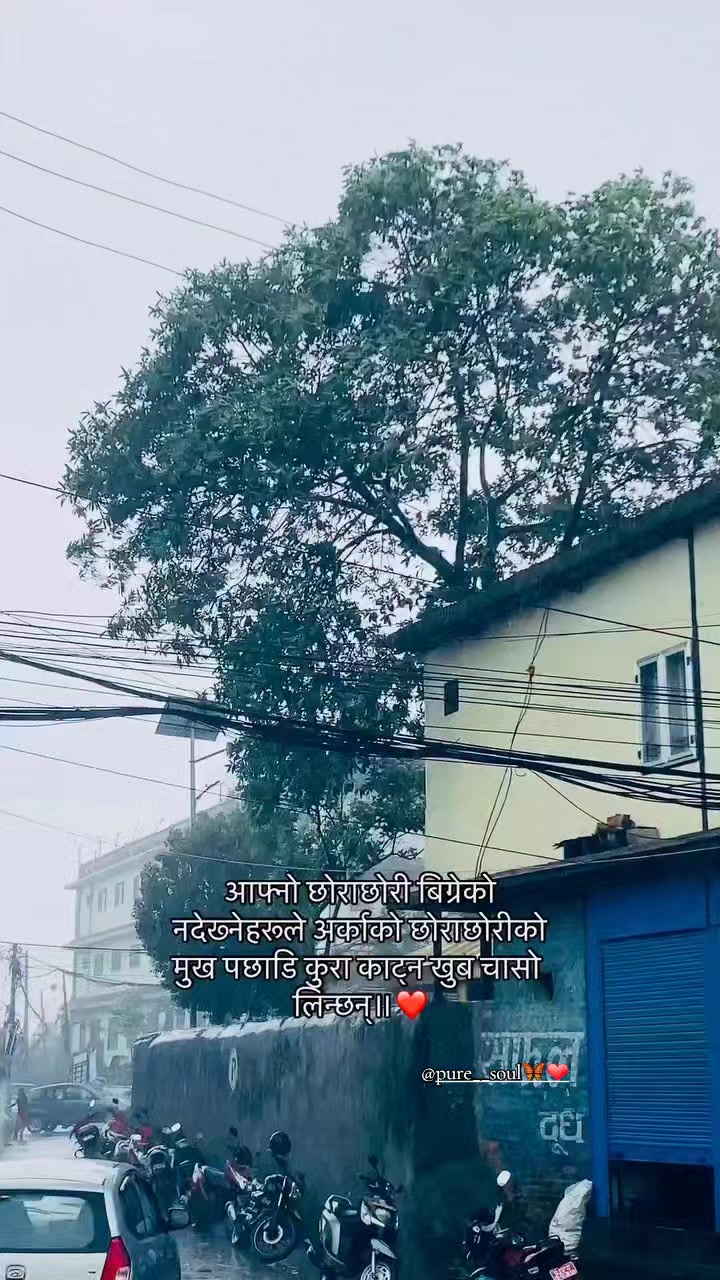 @pure__soul🦋❤️