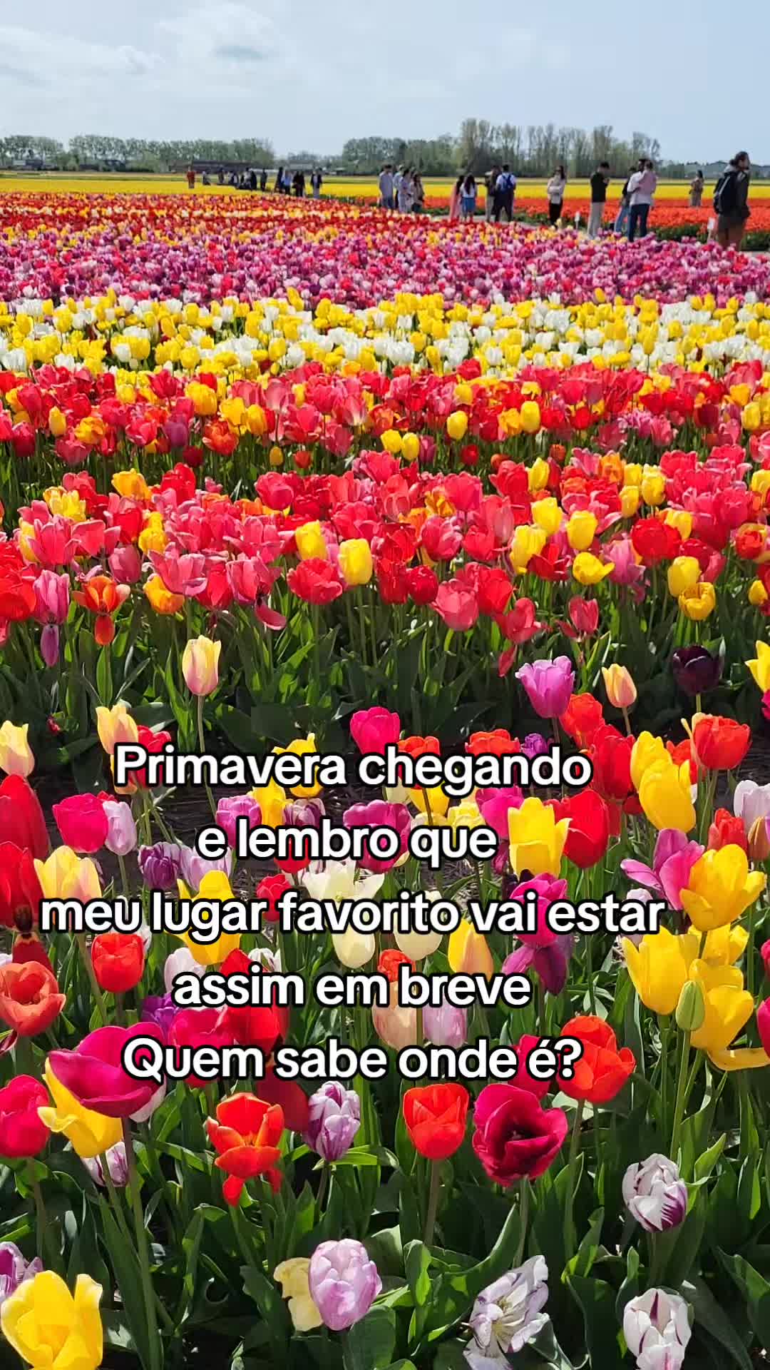 @lika 🇧🇷🇩🇪