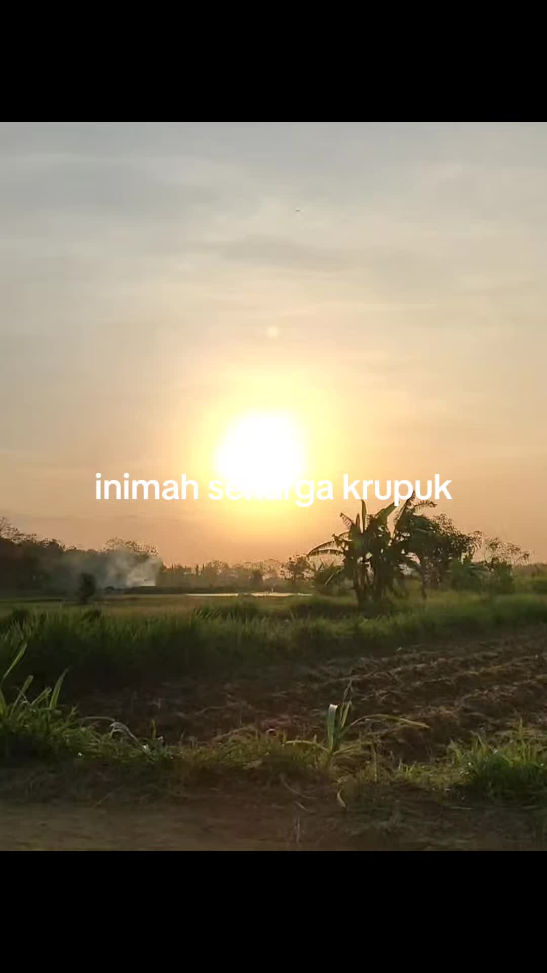 @pemulashopp