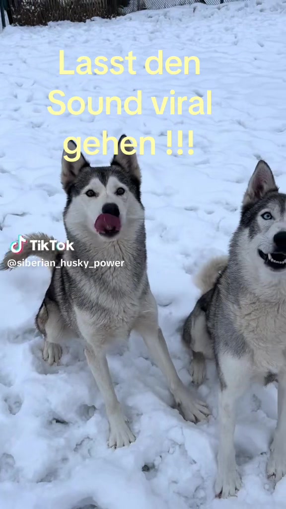 @Benedikt
