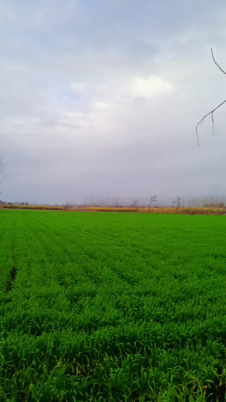 @Shah saib