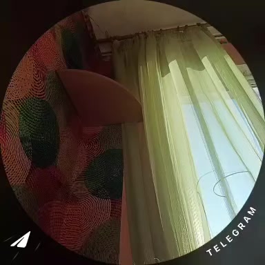 @Roxy🫐ロキシー