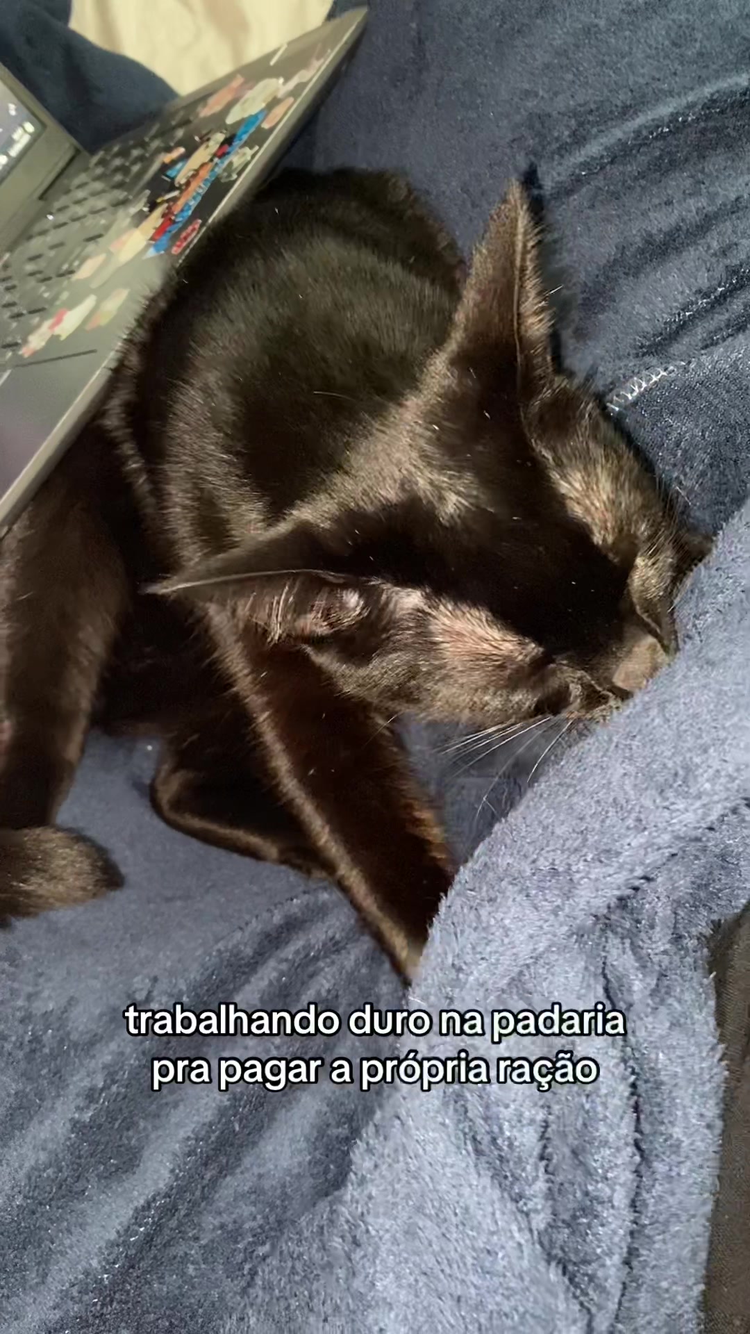 @verena