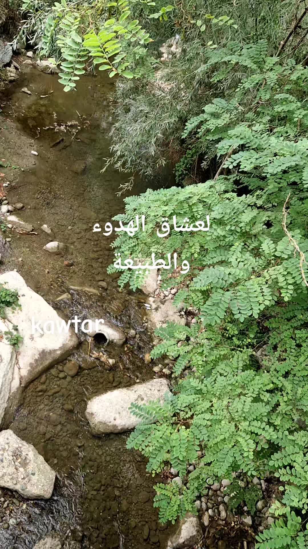 @كوثر
