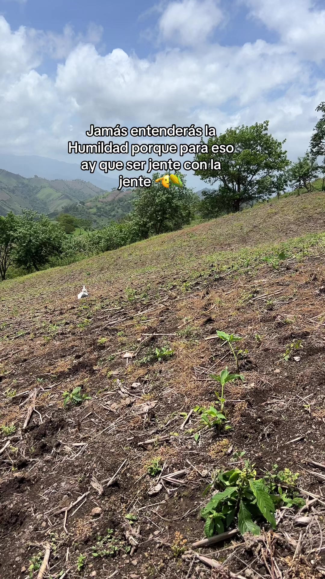 @_Ingeniero_Zeledon🤠🍀🕺