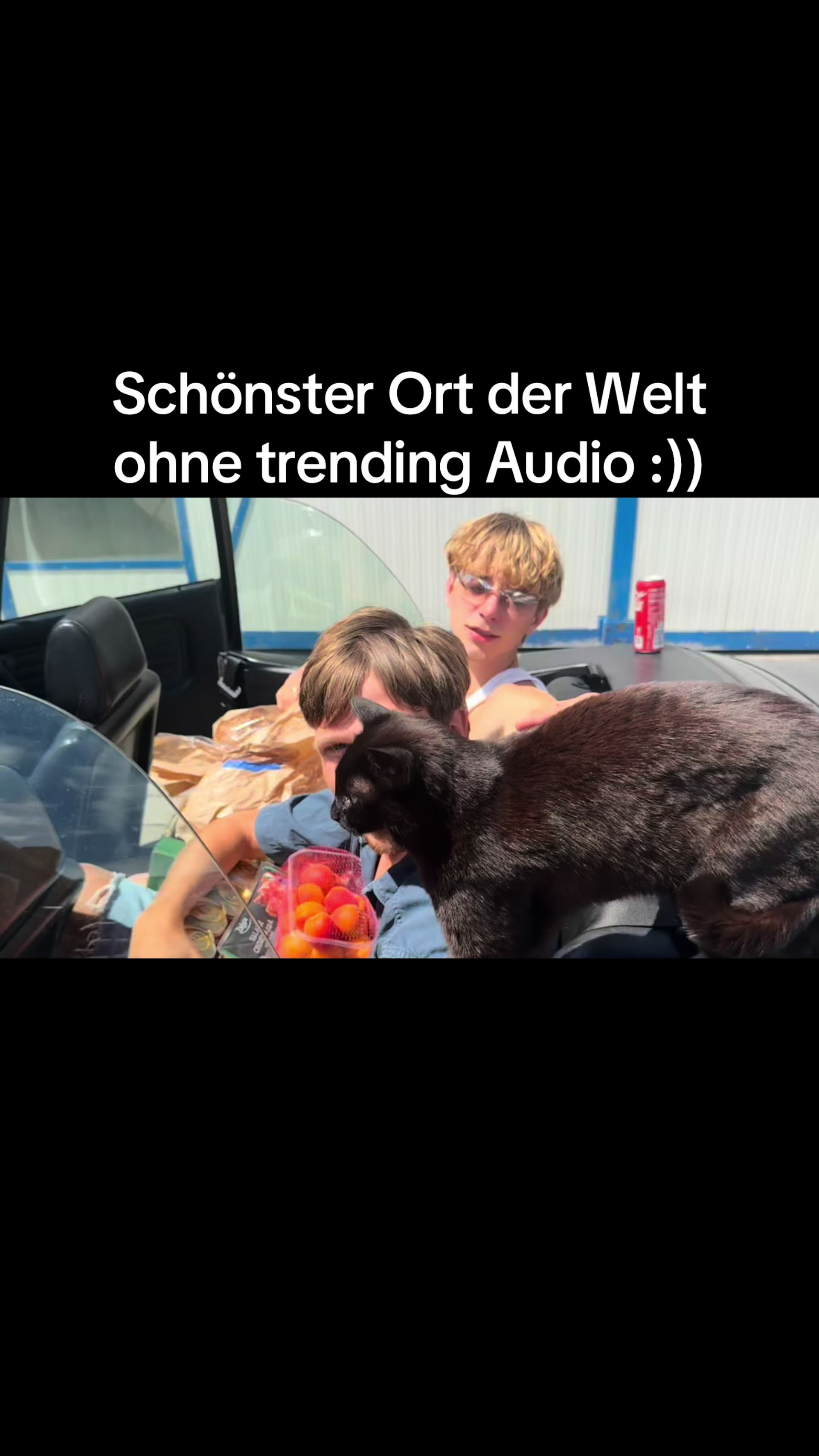@gustav.echter