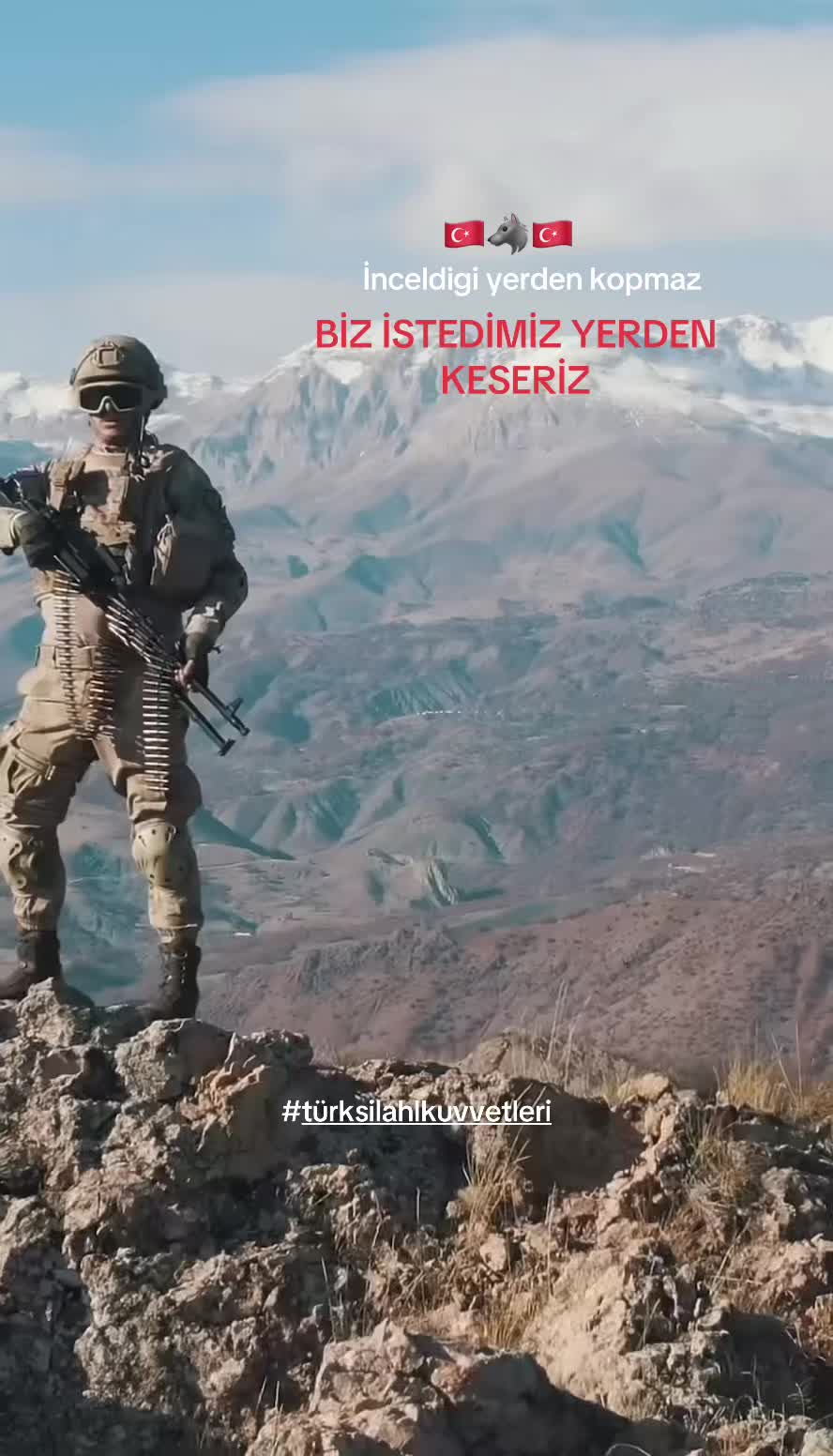 @🇹🇷P&Ouml;H🇹🇷