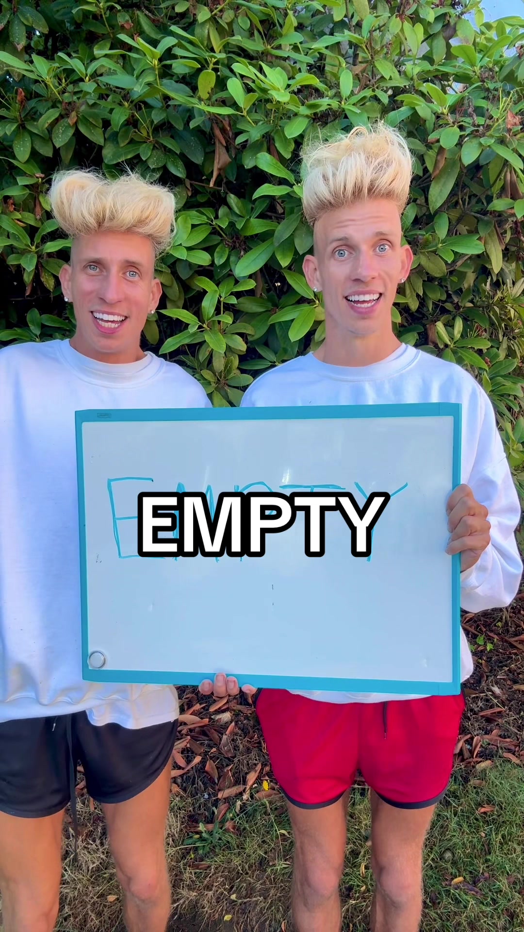@vorostwins