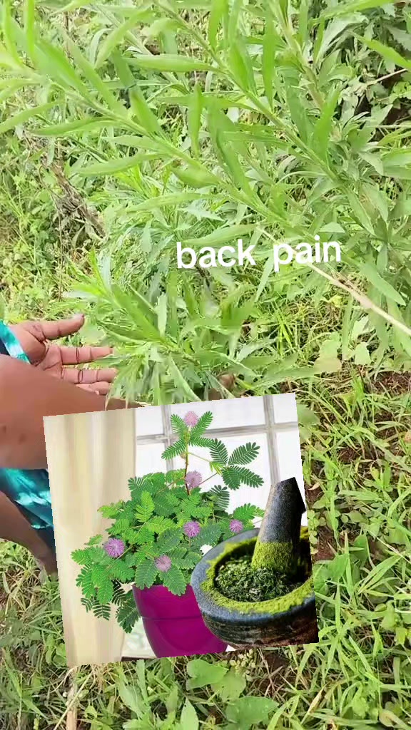@senga sarah