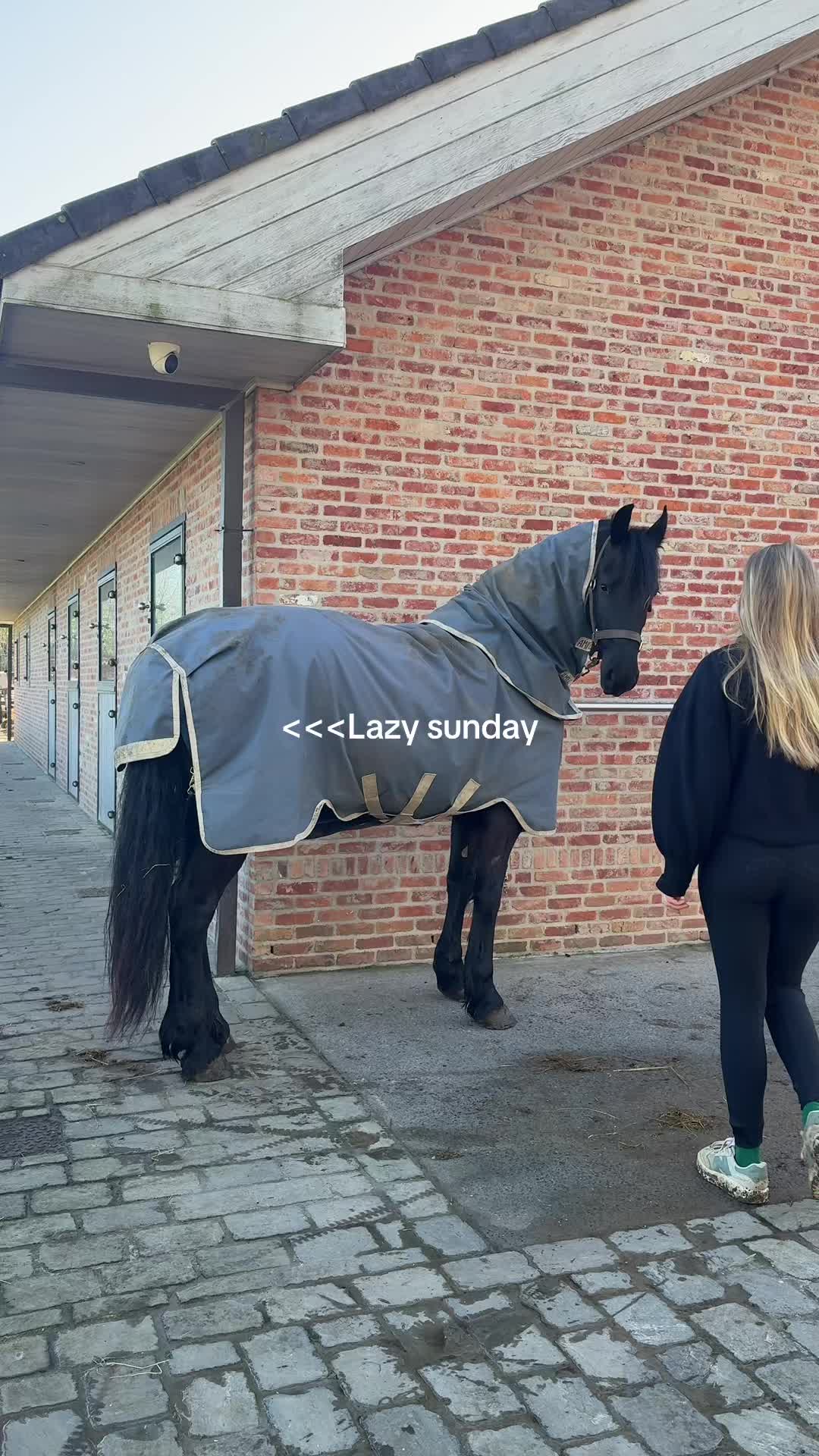 @Phoebe Tack Dressage