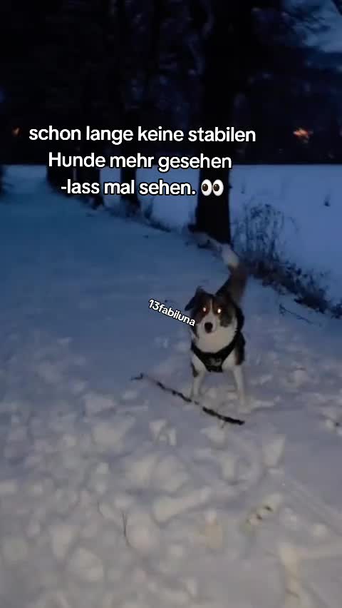 @13fabiluna💗🐶