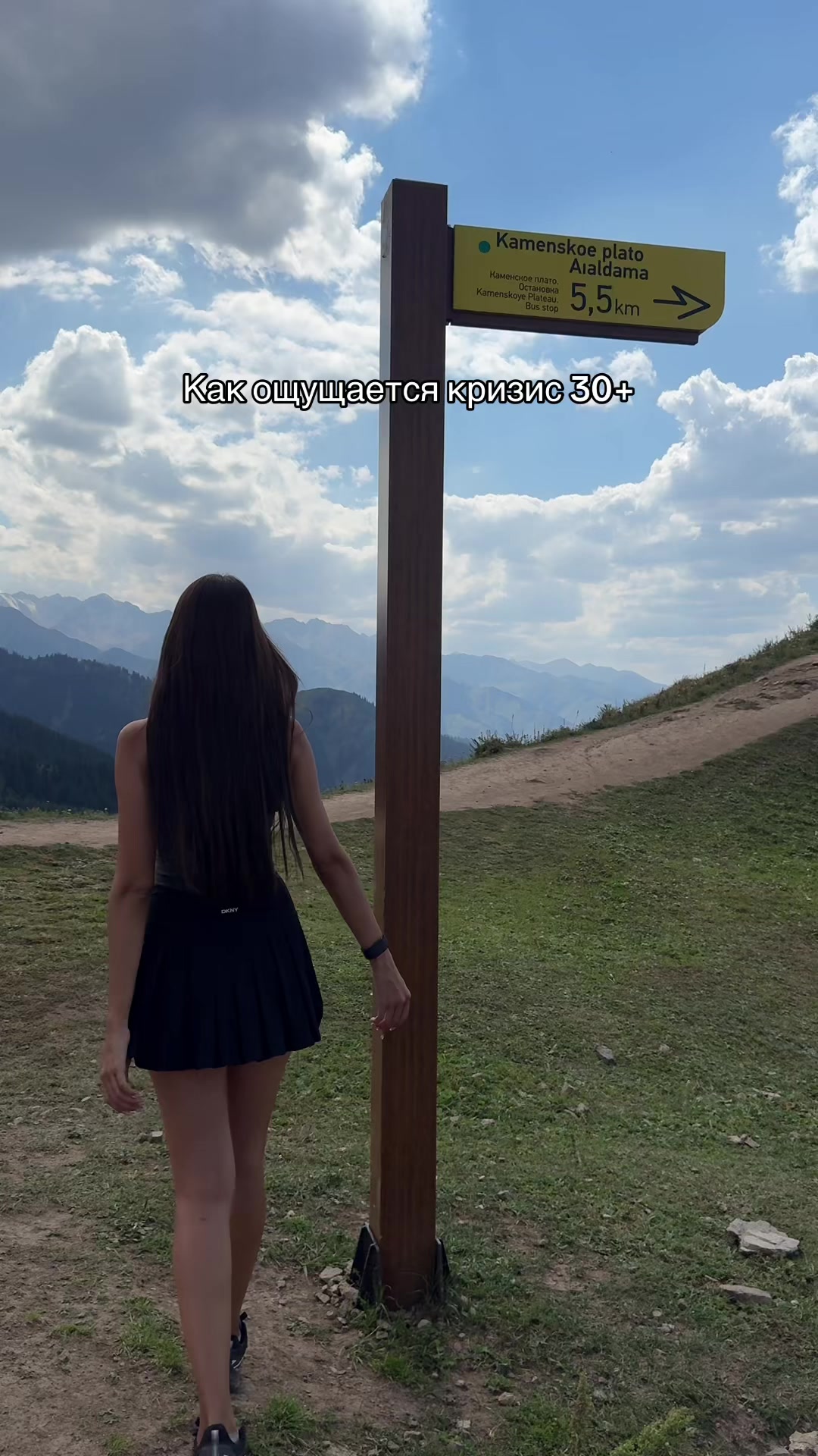 @assel.amor