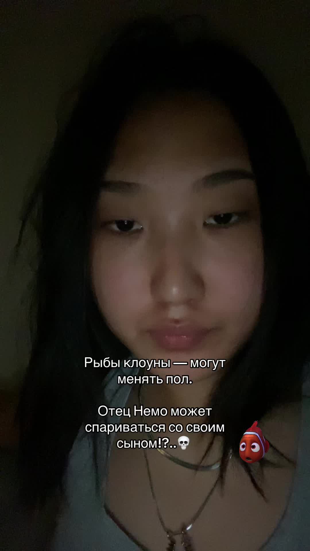 @сквиди