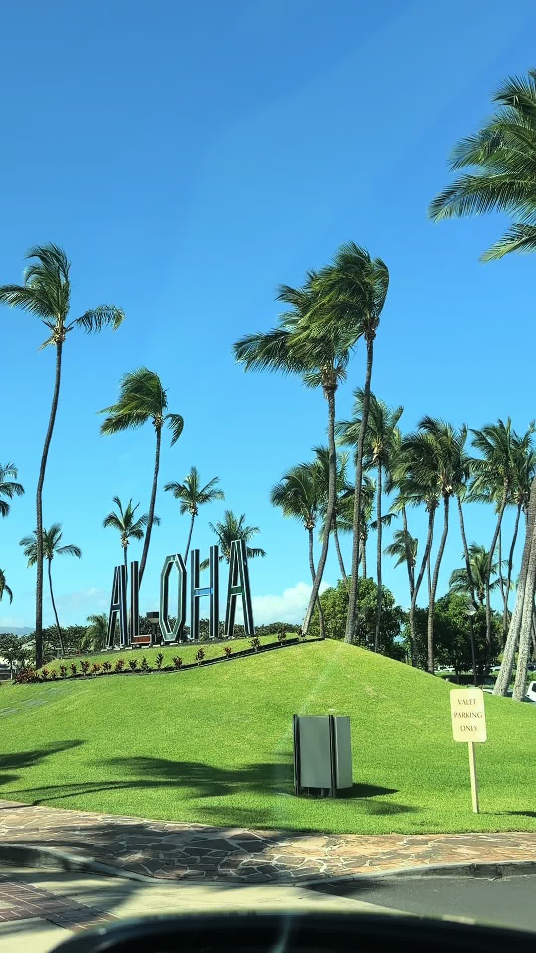 @AllBeautyKims