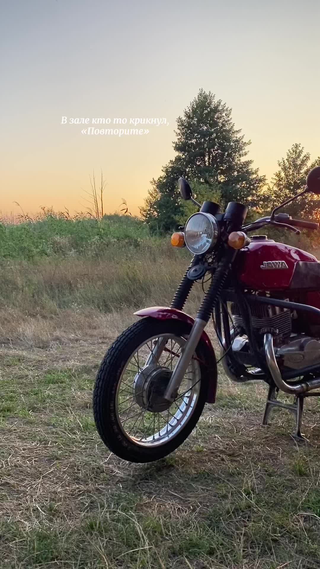 @orv_fl