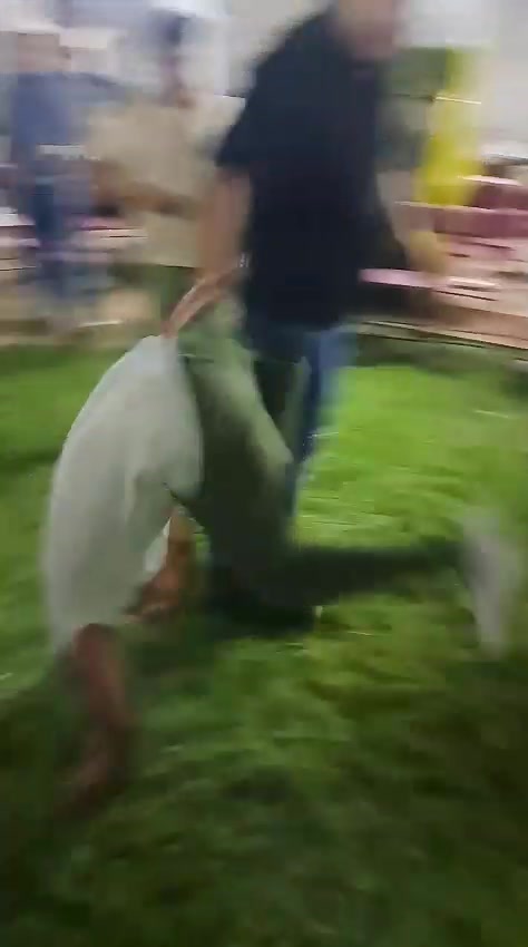 @Jesus Eduardo Sánchez
