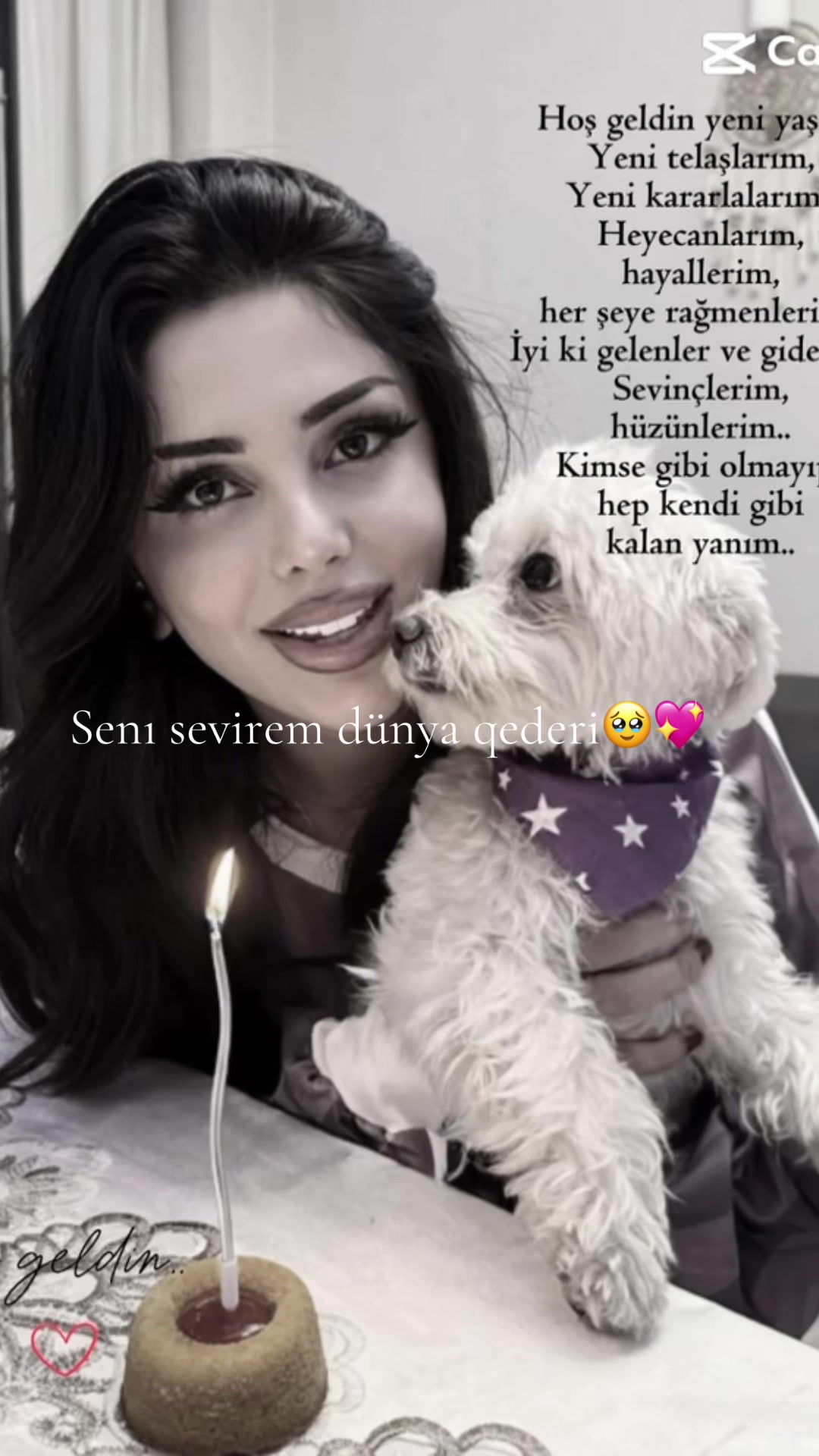 @shaxseva1