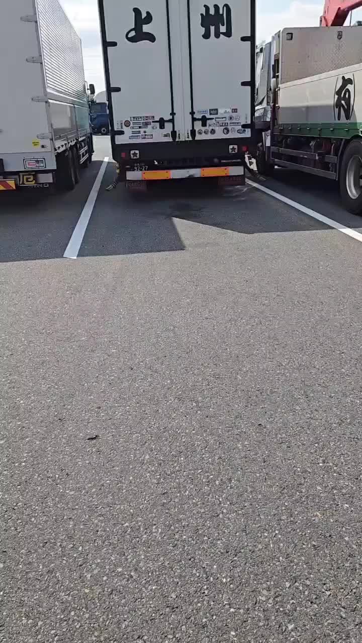 @とらのすけ🐯ᰍᩚ