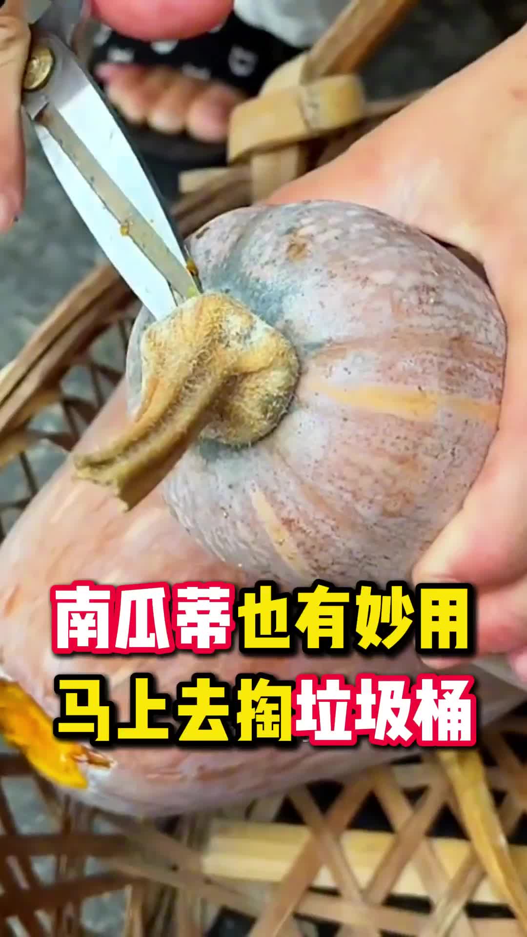 @大头说滋补