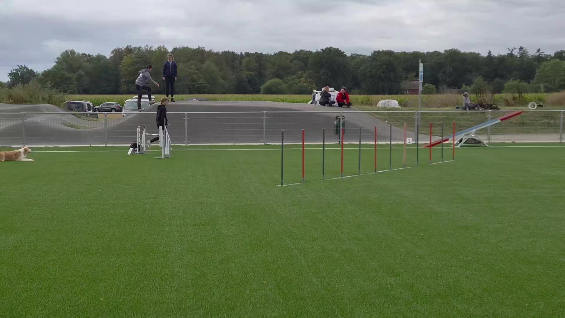 @dreamteam.agility