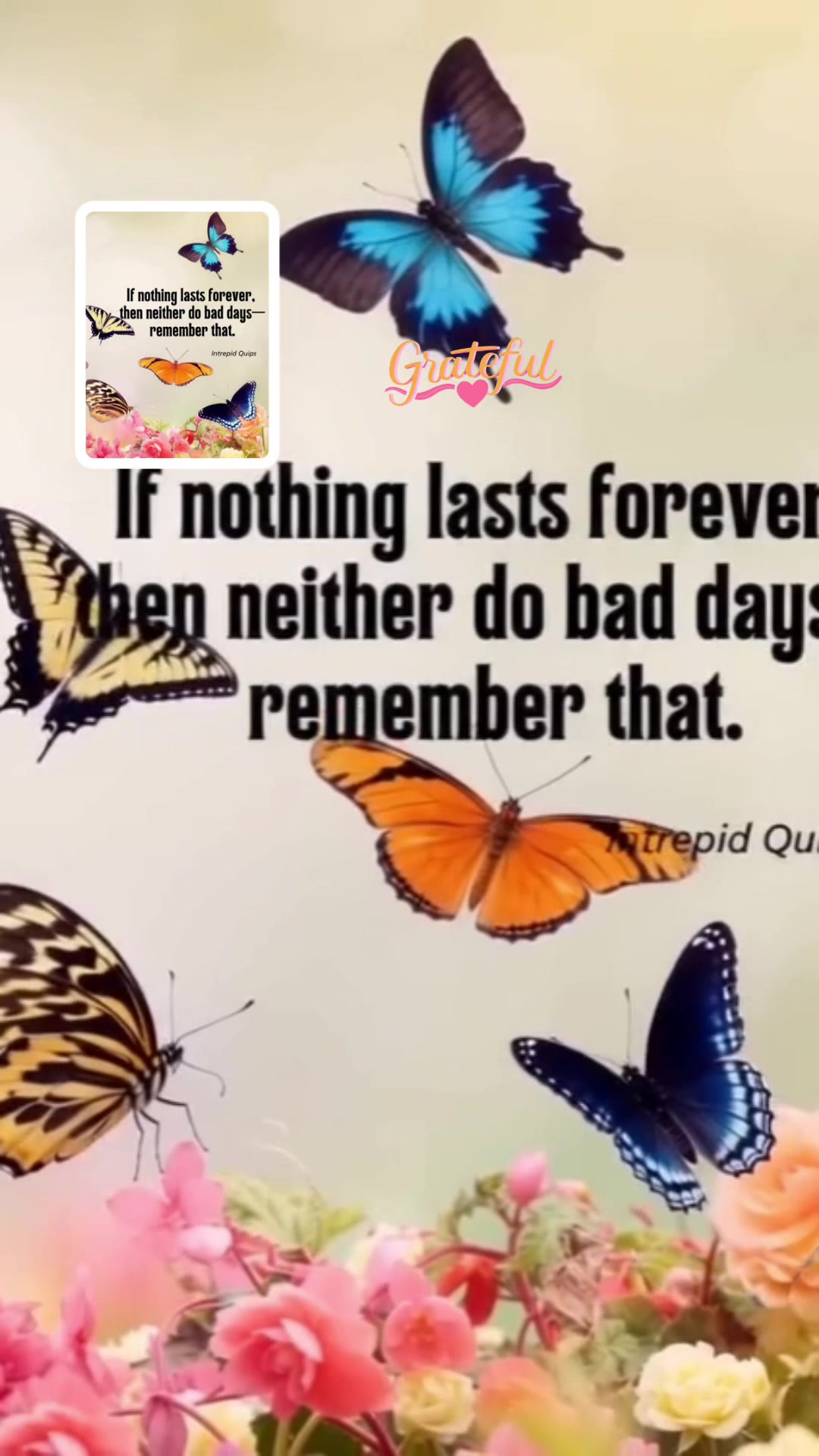 @💜👑🔱🎀DEC🅾️D🅰️🎀🦅 ☀️