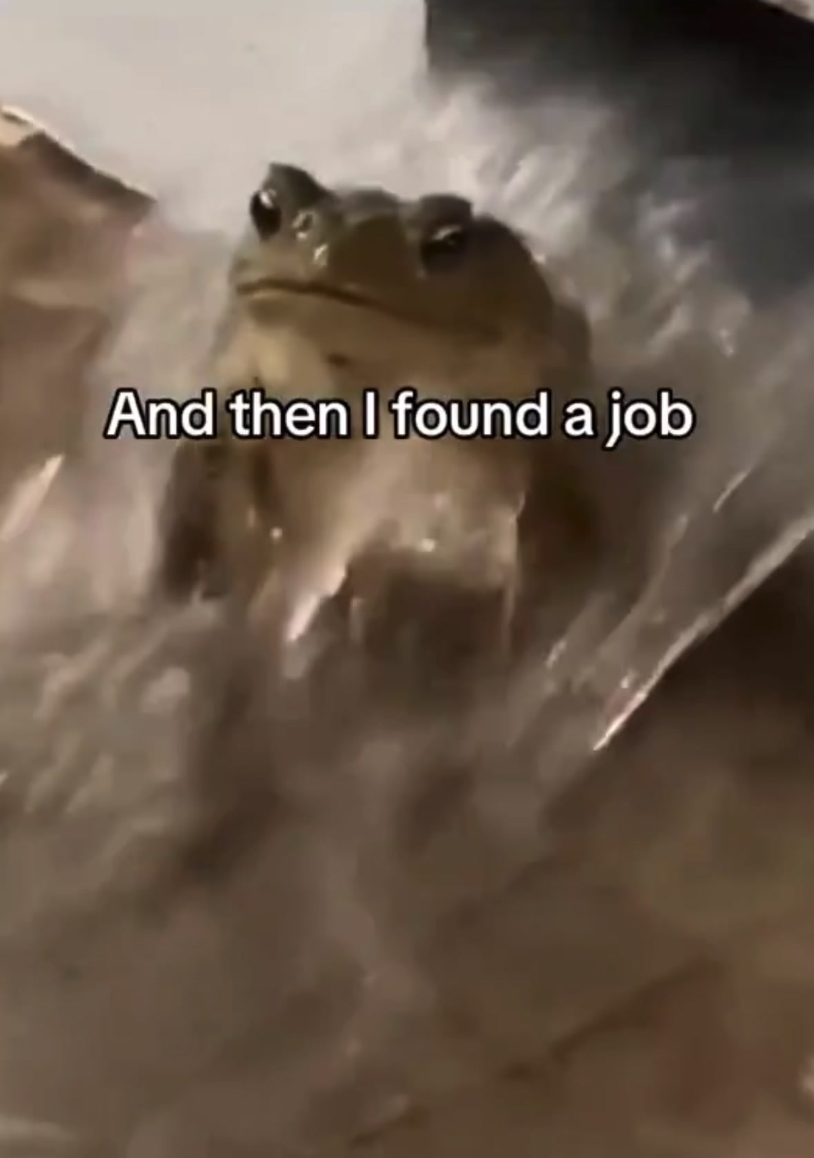 @anon