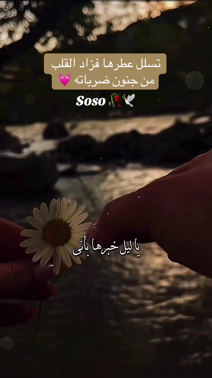 @༊෴✿ سوسو ✿〄࿐