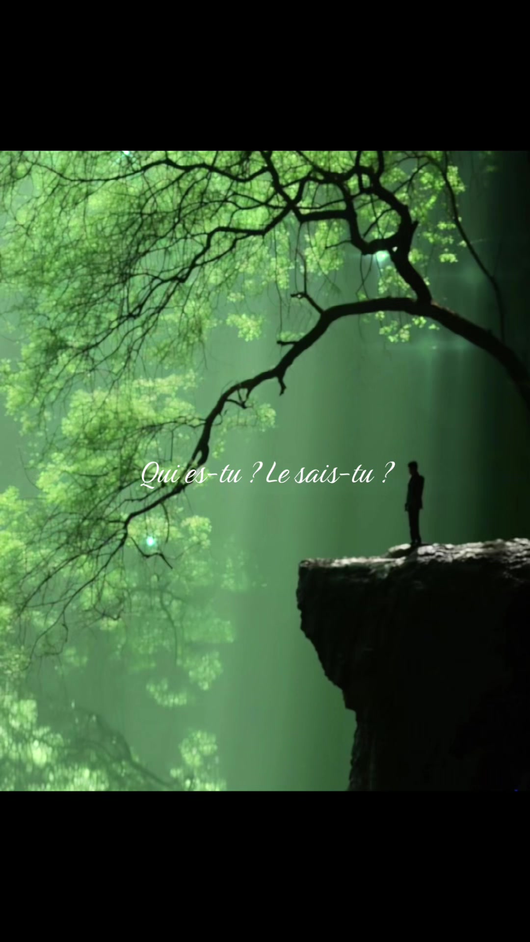 @Le Clin D&rsquo;Oeil Animal