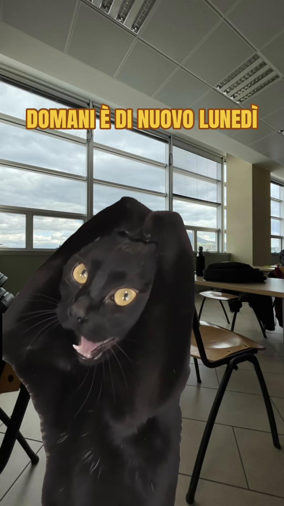 @appuntiamo