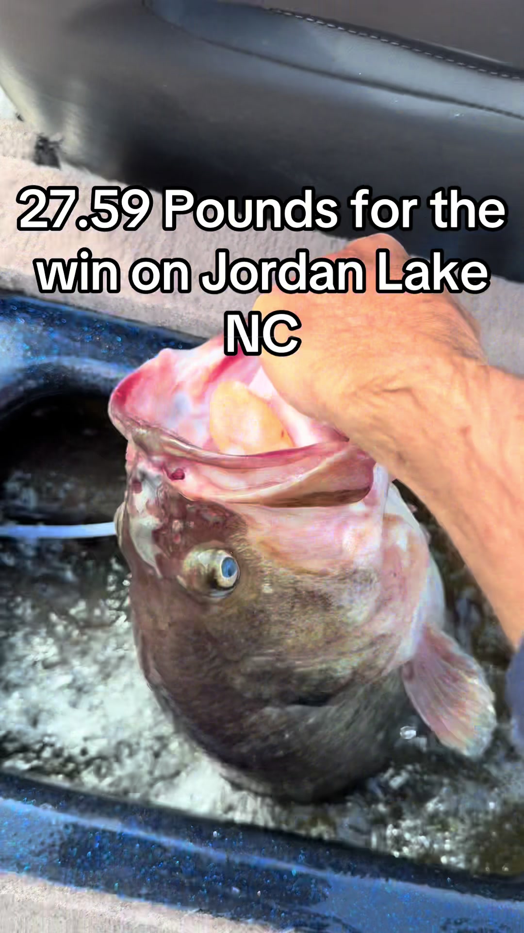 @evan_whitefishing
